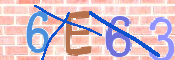 Immagine CAPTCHA
